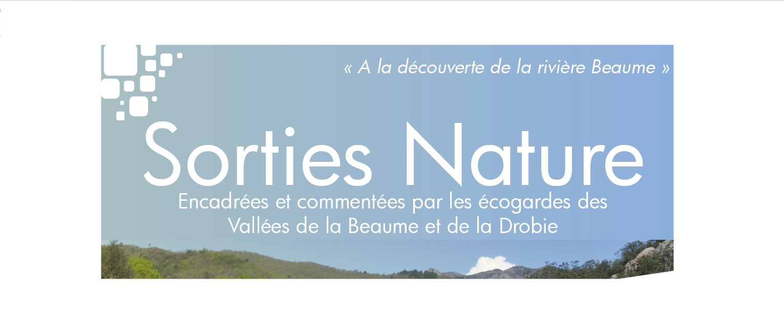 site
