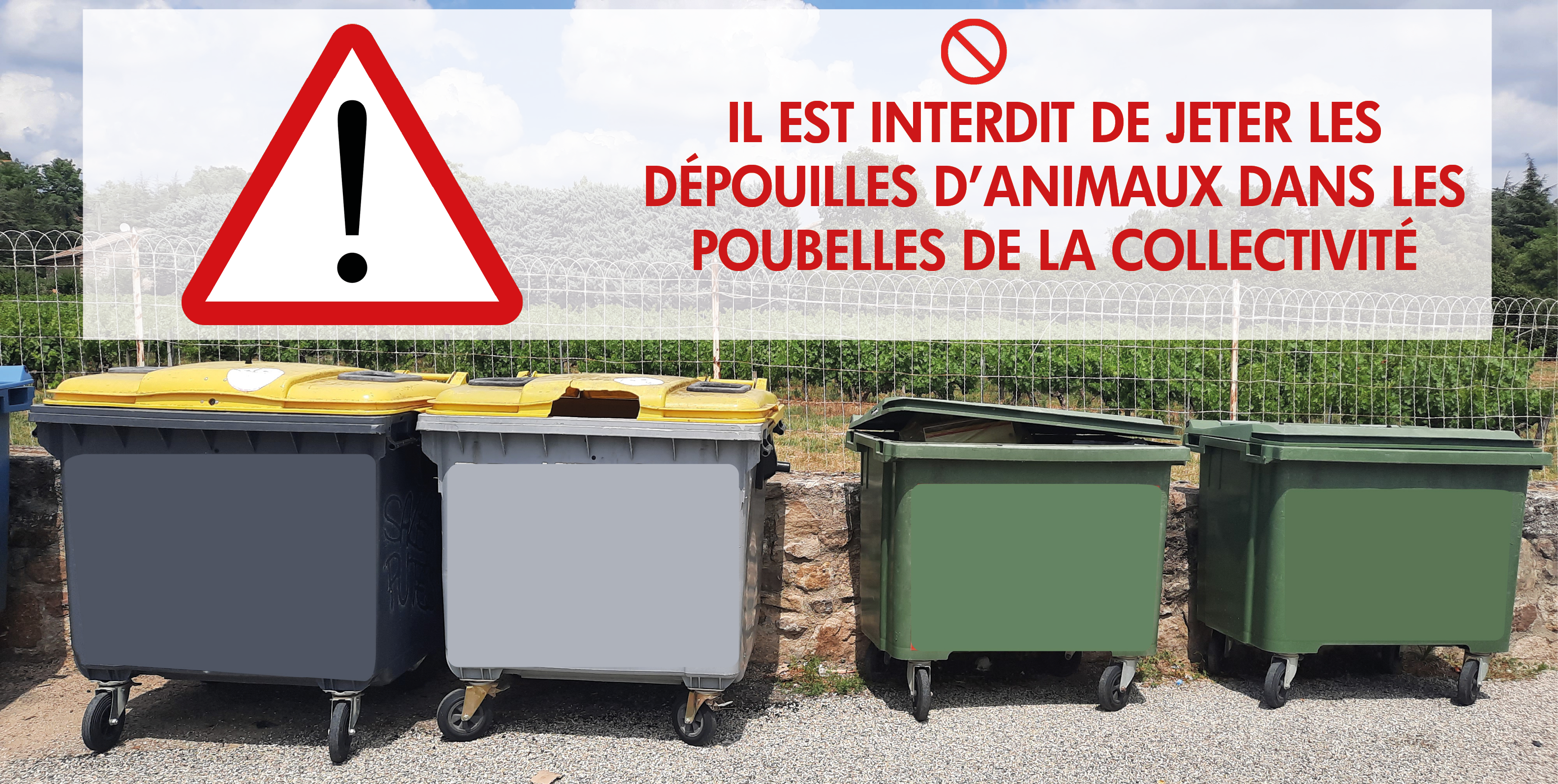 Illutration_interdiction_depouilles_poubelles_CDCPBD