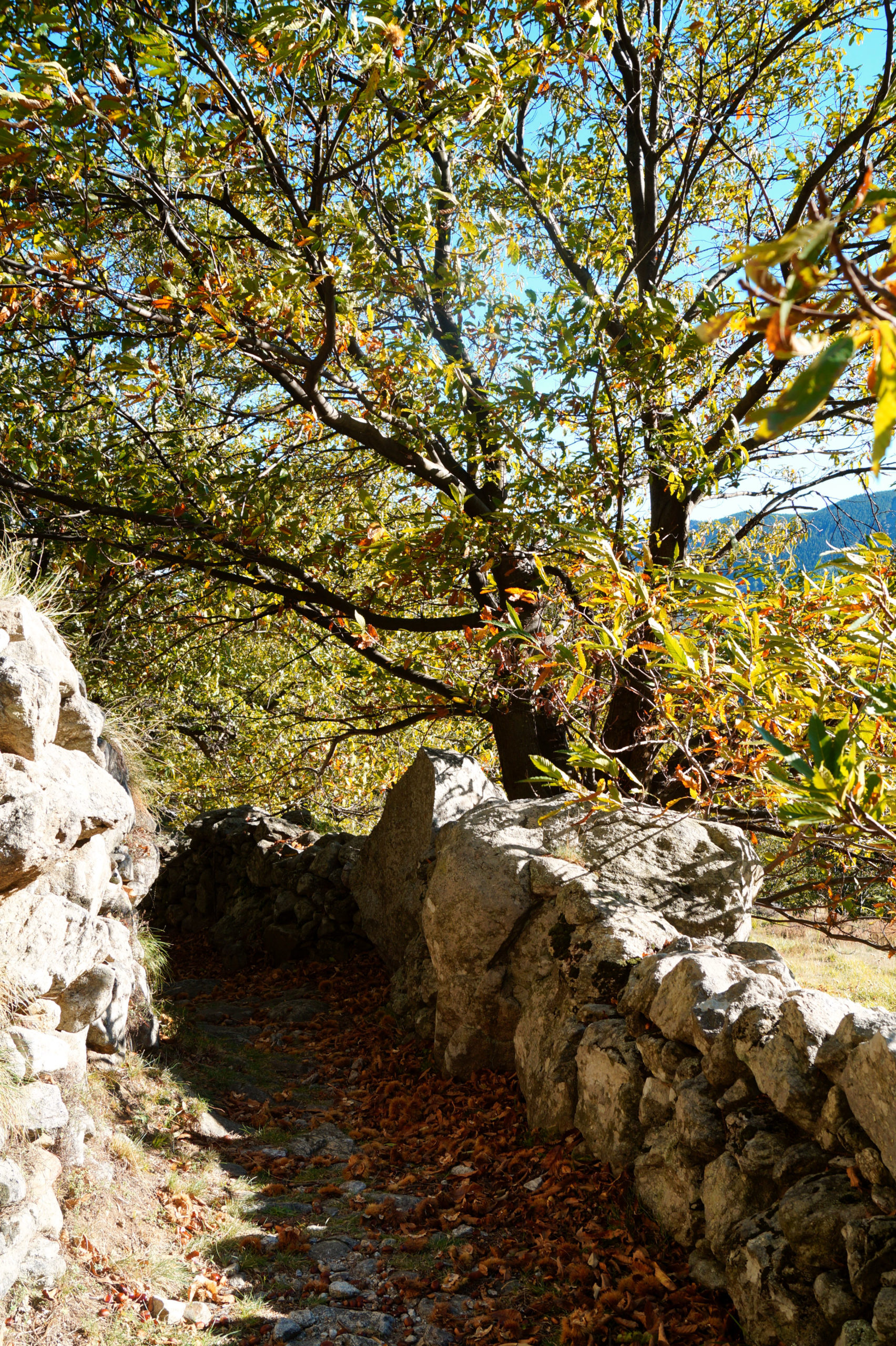 sentier-murette_©Melanie-Brioude-Cevennes-dArdeche